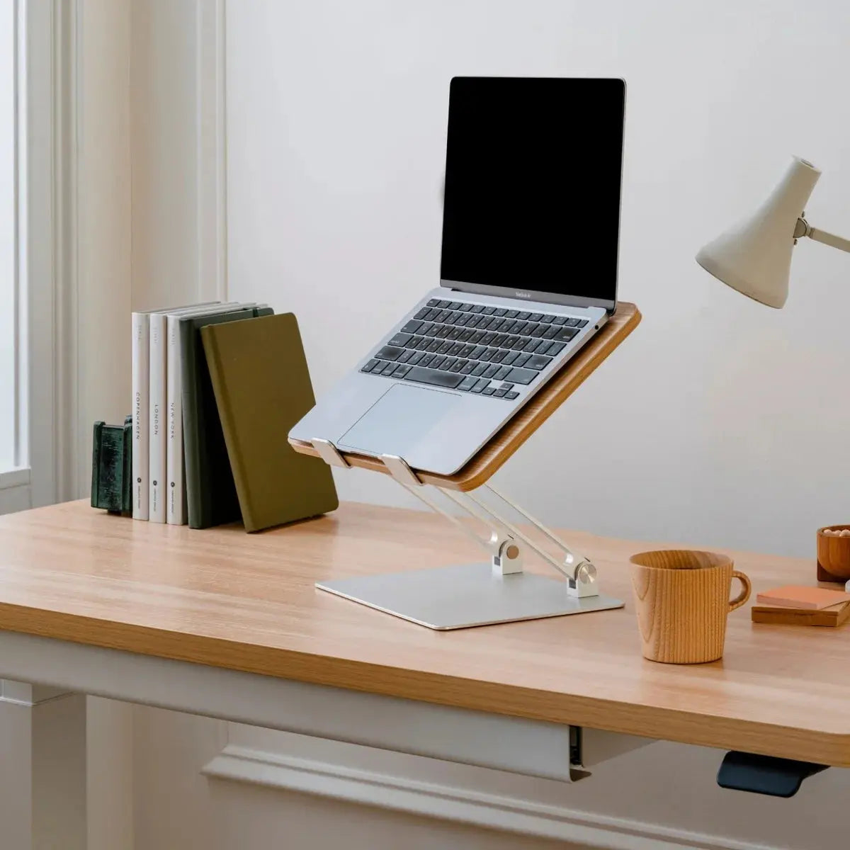 Adjustable Aluminum Laptop Stand for Desk, Foldable Ergonomic Laptop Riser for MacBook, Windows Laptops & Tablets